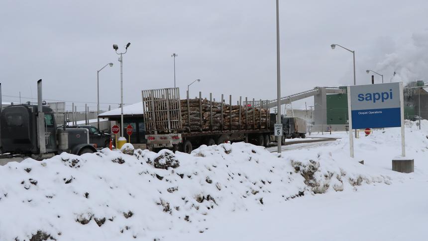Logging trucks wait to be weighed before dropping off their loads of wood. (Photo: Jamey Malcomb/Pine Journal)