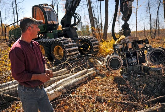 A recent survey of loggers provides some demographic data where we can see patterns in logger demographics. (photo: Richard Sennott, Mpls Star Tribune)